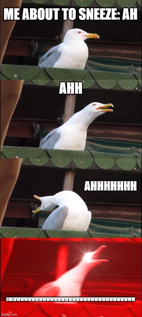 Inhaling Seagull Meme | ME ABOUT TO SNEEZE: AH; AHH; AHHHHHHH; CHEWWWWWWWWWWWWWWWWWWWWWWWWWWWWWWWWW | image tagged in memes,inhaling seagull | made w/ Imgflip meme maker