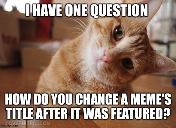 I guess this title here will change once I find out | I HAVE ONE QUESTION; HOW DO YOU CHANGE A MEME'S TITLE AFTER IT WAS FEATURED? | image tagged in curious question cat,imgflip,question,help,i have several questions | made w/ Imgflip meme maker