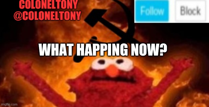 ColonelTony anoucment #2 | WHAT HAPPING NOW? | image tagged in coloneltony anoucment 2 | made w/ Imgflip meme maker