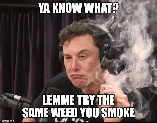 Elon Musk smoking a joint | YA KNOW WHAT? LEMME TRY THE SAME WEED YOU SMOKE | image tagged in elon musk smoking a joint | made w/ Imgflip meme maker