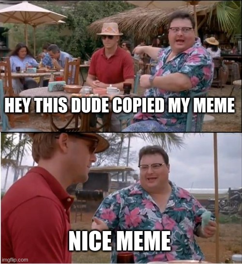 See Nobody Cares Meme | HEY THIS DUDE COPIED MY MEME; NICE MEME | image tagged in memes,see nobody cares | made w/ Imgflip meme maker