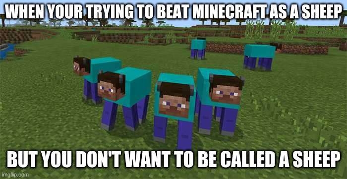 me | WHEN YOUR TRYING TO BEAT MINECRAFT AS A SHEEP; BUT YOU DON'T WANT TO BE CALLED A SHEEP | image tagged in me and the boys,steve,minecraft,sheep,minecraft sheep | made w/ Imgflip meme maker