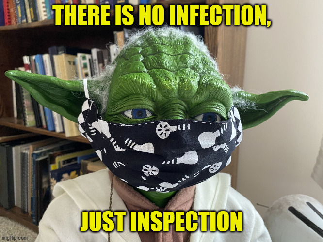 COVID | THERE IS NO INFECTION, JUST INSPECTION | image tagged in yoda mask | made w/ Imgflip meme maker