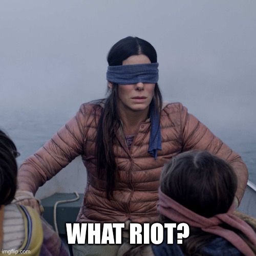 Bird Box Meme | WHAT RIOT? | image tagged in memes,bird box | made w/ Imgflip meme maker