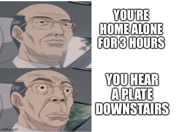 That’s means SOMEONE IS IN THE HOUSE | YOU’RE HOME ALONE FOR 3 HOURS; YOU HEAR A PLATE DOWNSTAIRS | image tagged in idk comedy | made w/ Imgflip meme maker