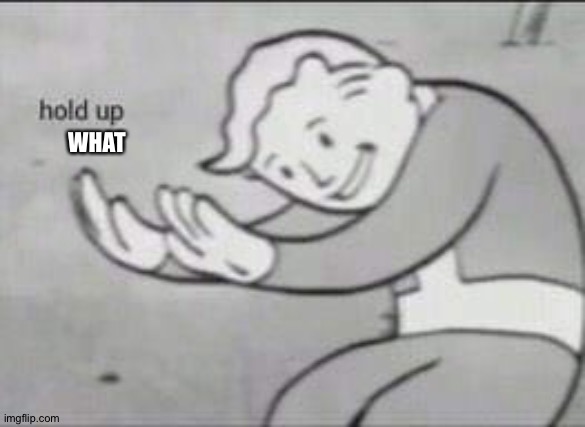 Fallout Hold Up | WHAT | image tagged in fallout hold up | made w/ Imgflip meme maker