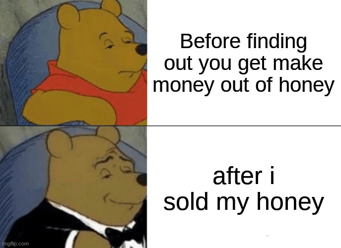 HOW WINNIE THE POOH GOT RICH | Before finding out you get make money out of honey; after i sold my honey | image tagged in memes,tuxedo winnie the pooh,winnie the pooh,money,business,honey | made w/ Imgflip meme maker