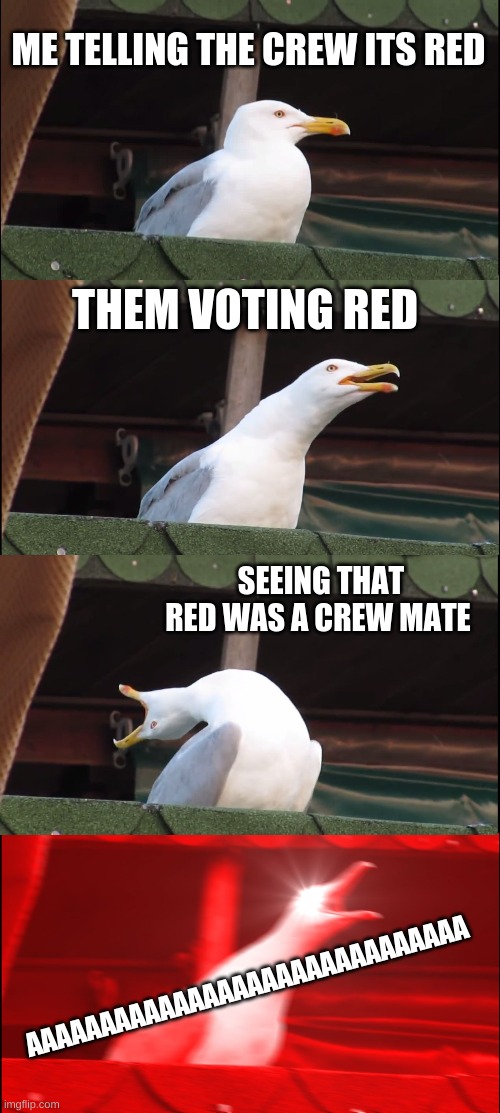 Inhaling Seagull Meme | ME TELLING THE CREW ITS RED; THEM VOTING RED; SEEING THAT RED WAS A CREW MATE; AAAAAAAAAAAAAAAAAAAAAAAAAAAAAA | image tagged in memes,inhaling seagull | made w/ Imgflip meme maker