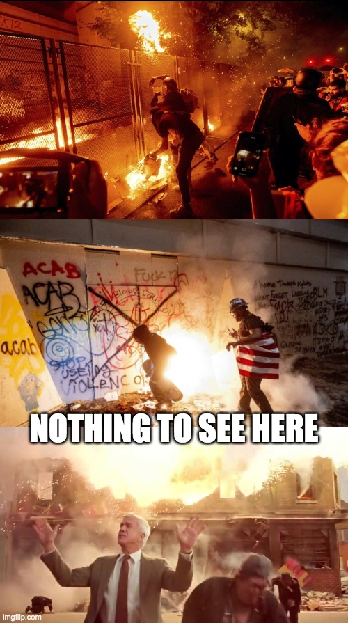 NOTHING TO SEE HERE | image tagged in nra nothing to see here | made w/ Imgflip meme maker