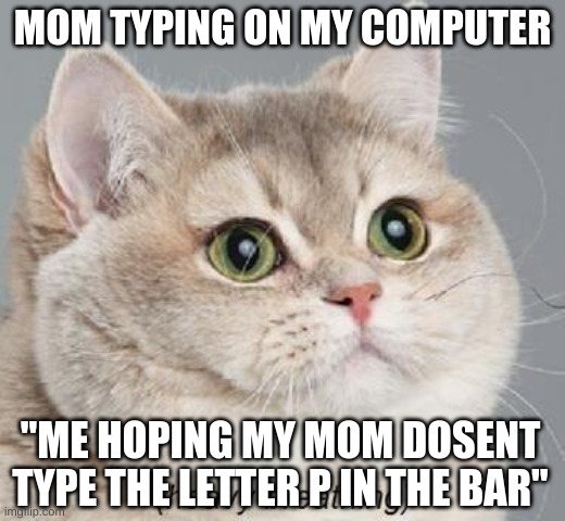 Heavy Breathing Cat | MOM TYPING ON MY COMPUTER; ''ME HOPING MY MOM DOSENT TYPE THE LETTER P IN THE BAR'' | image tagged in memes,heavy breathing cat | made w/ Imgflip meme maker