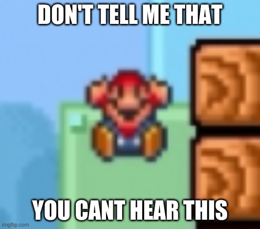 Mario | DON'T TELL ME THAT; YOU CANT HEAR THIS | image tagged in mario | made w/ Imgflip meme maker