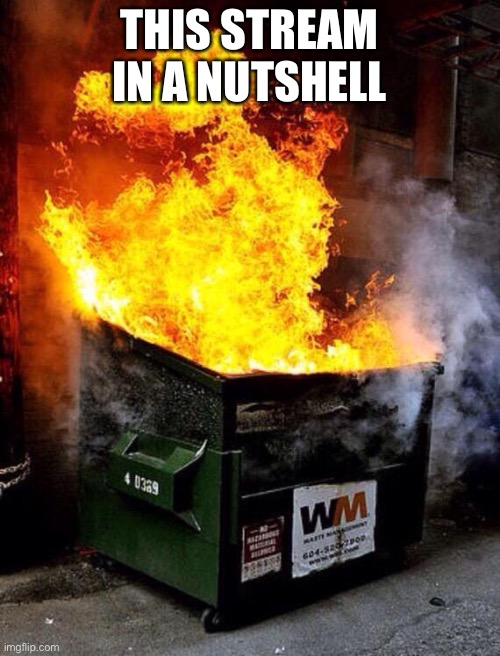 Dumpster Fire | THIS STREAM IN A NUTSHELL | image tagged in dumpster fire | made w/ Imgflip meme maker