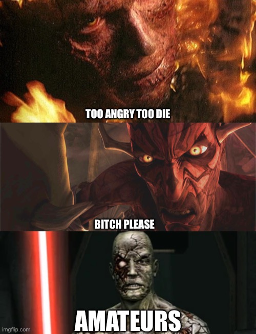 Remember Darth Sion? | TOO ANGRY TOO DIE; BITCH PLEASE; AMATEURS | image tagged in star wars,memes,fun | made w/ Imgflip meme maker