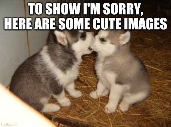Cute Puppies | TO SHOW I'M SORRY, HERE ARE SOME CUTE IMAGES | image tagged in memes,cute puppies | made w/ Imgflip meme maker