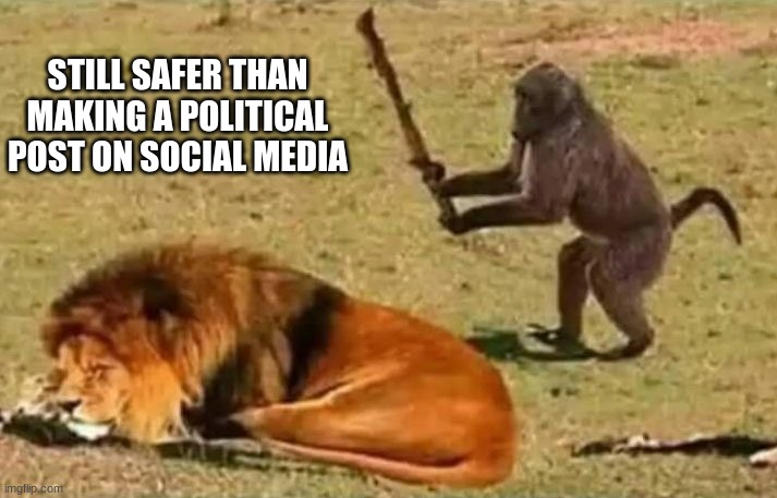 Drunk Monkey |  STILL SAFER THAN MAKING A POLITICAL POST ON SOCIAL MEDIA | image tagged in drunk monkey | made w/ Imgflip meme maker