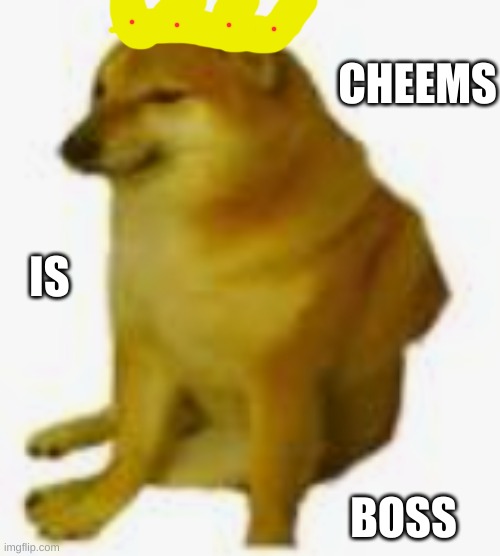 CHEEMS BOSS IS | made w/ Imgflip meme maker