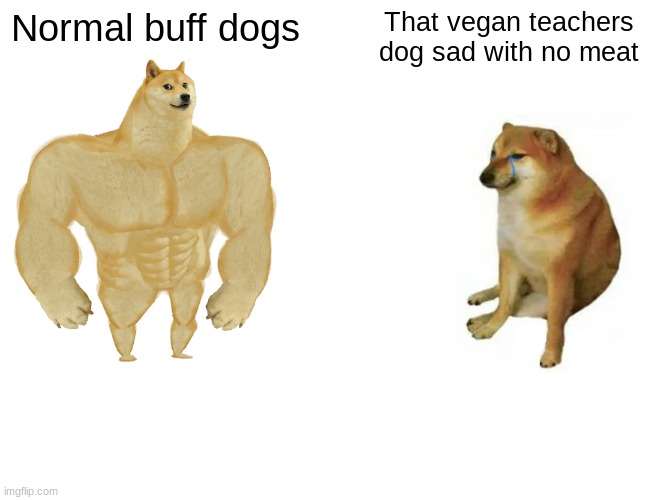 Buff Doge vs. Cheems Meme | Normal buff dogs; That vegan teachers dog sad with no meat | image tagged in memes,buff doge vs cheems | made w/ Imgflip meme maker