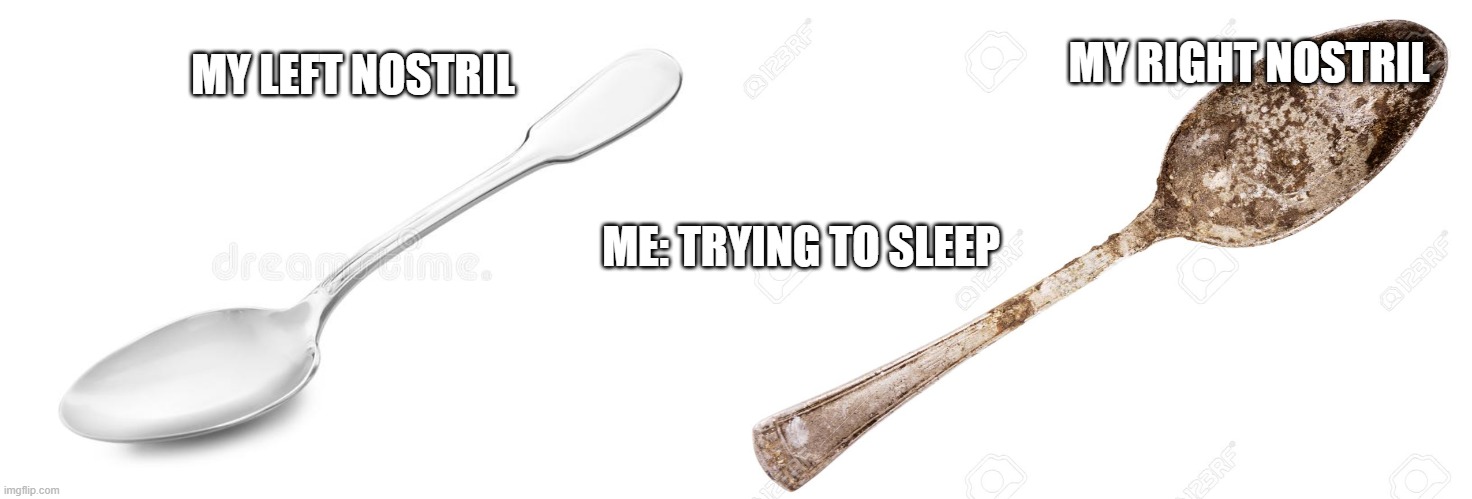 CAN relate | MY RIGHT NOSTRIL; MY LEFT NOSTRIL; ME: TRYING TO SLEEP | image tagged in relatable | made w/ Imgflip meme maker