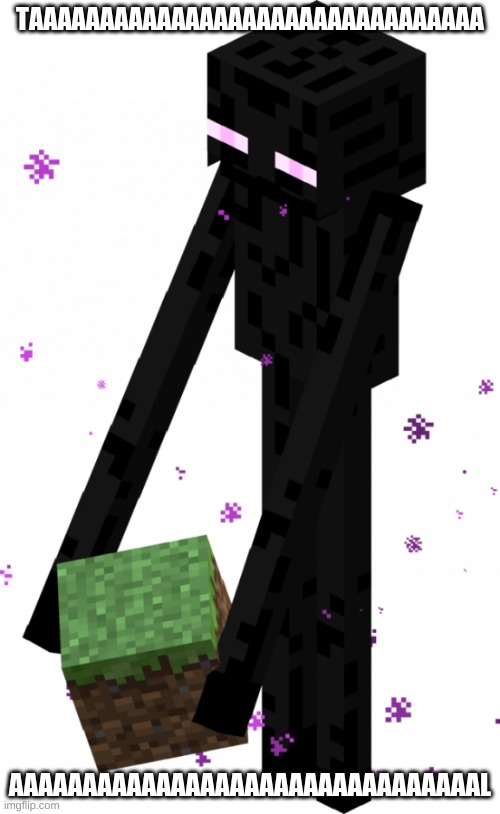 Enderman 2024 grass block