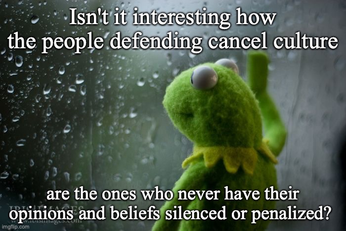 Don't get mad. Just making an observation. | Isn't it interesting how the people defending cancel culture; are the ones who never have their opinions and beliefs silenced or penalized? | image tagged in kermit window | made w/ Imgflip meme maker