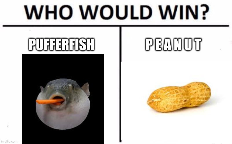 who would win? | PUFFERFISH; P E A N U T | image tagged in who would win | made w/ Imgflip meme maker