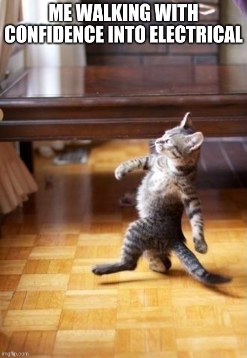 among us cat meme | ME WALKING WITH CONFIDENCE INTO ELECTRICAL | image tagged in memes,cool cat stroll | made w/ Imgflip meme maker