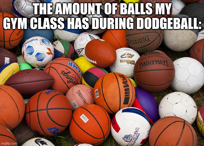 sports meme | THE AMOUNT OF BALLS MY GYM CLASS HAS DURING DODGEBALL: | image tagged in sports balls | made w/ Imgflip meme maker