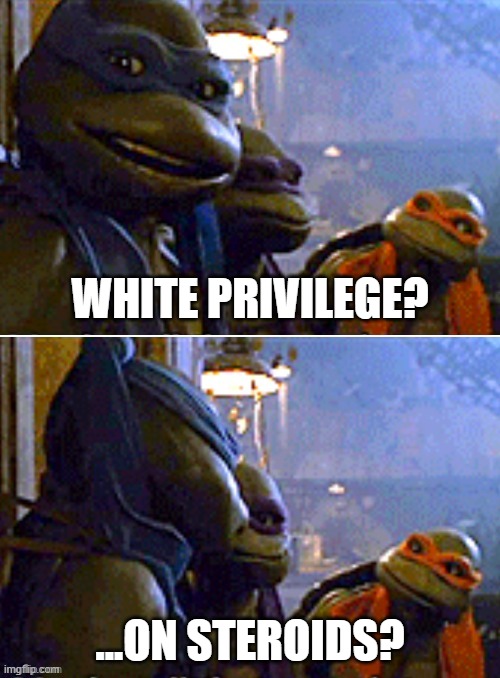 White Privilege? On Steroids? | WHITE PRIVILEGE? ...ON STEROIDS? | image tagged in teenage mutant ninja turtles | made w/ Imgflip meme maker