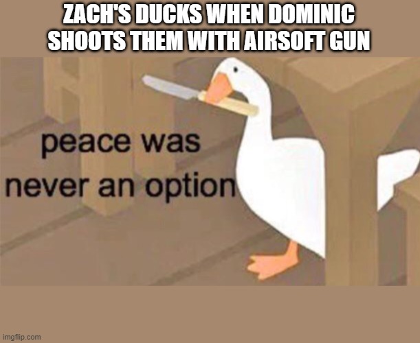 Untitled Goose Peace Was Never an Option | ZACH'S DUCKS WHEN DOMINIC SHOOTS THEM WITH AIRSOFT GUN | image tagged in untitled goose peace was never an option | made w/ Imgflip meme maker