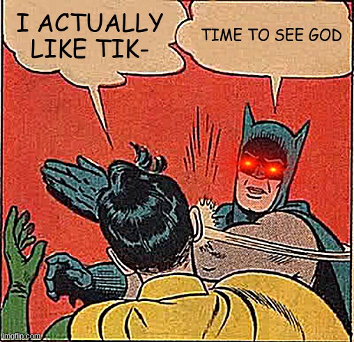 Batman Slapping Robin | I ACTUALLY LIKE TIK-; TIME TO SEE GOD | image tagged in memes,batman slapping robin | made w/ Imgflip meme maker