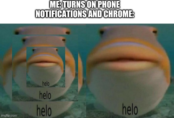 ME: TURNS ON PHONE
NOTIFICATIONS AND CHROME: | image tagged in helo | made w/ Imgflip meme maker