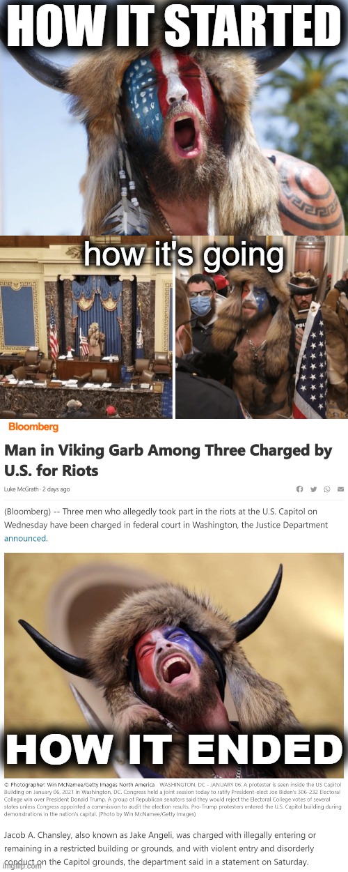 The saga of Viking Man, a True Patriot, in Three Parts | HOW IT STARTED; how it's going; HOW IT ENDED | image tagged in viking man arizona,viking man capitol,viking man arrested,viking,trump supporter,riot | made w/ Imgflip meme maker