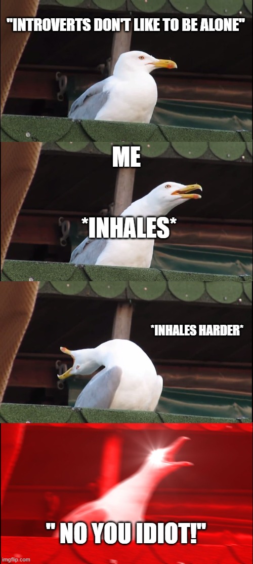 Inhaling Seagull Meme | "INTROVERTS DON'T LIKE TO BE ALONE"; ME; *INHALES*; *INHALES HARDER*; " NO YOU IDIOT!" | image tagged in memes,inhaling seagull | made w/ Imgflip meme maker
