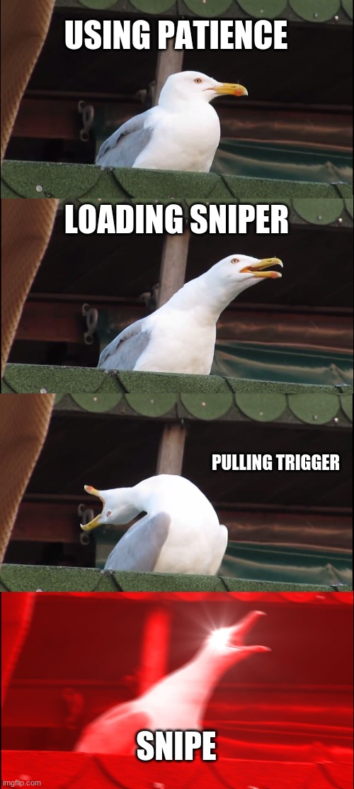 sniping eagle | USING PATIENCE; LOADING SNIPER; PULLING TRIGGER; SNIPE | image tagged in memes,inhaling seagull | made w/ Imgflip meme maker