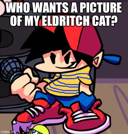 Ness but Friday night Funkin | WHO WANTS A PICTURE OF MY ELDRITCH CAT? | image tagged in ness but friday night funkin | made w/ Imgflip meme maker