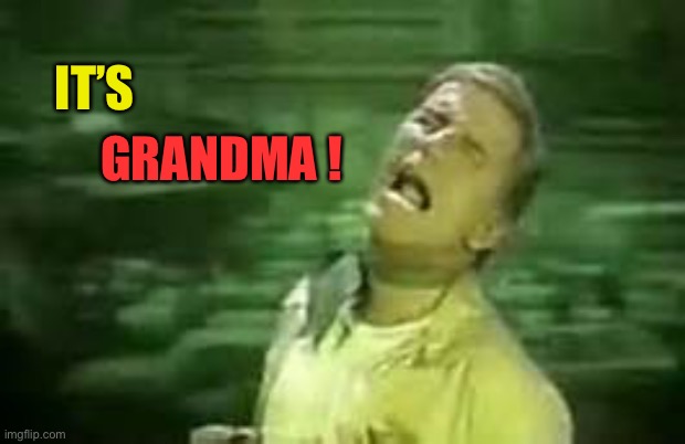 Soylent Green | IT’S GRANDMA ! | image tagged in soylent green | made w/ Imgflip meme maker