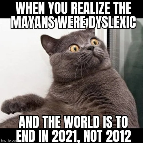 ? | image tagged in 2021,memes,end of the world,2020,cat,oh no | made w/ Imgflip meme maker