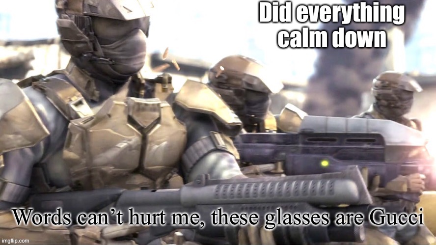 Please | Did everything calm down | image tagged in words can hurt me halo | made w/ Imgflip meme maker