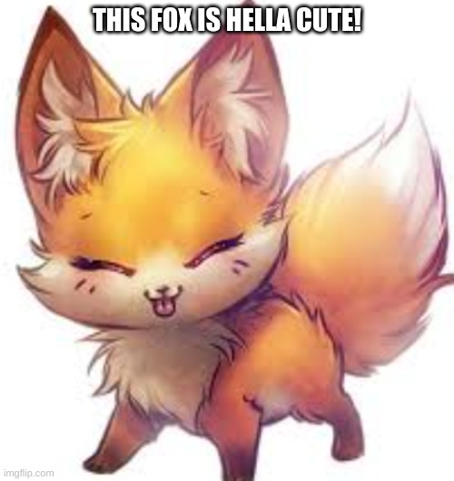 CUTE! | THIS FOX IS HELLA CUTE! | image tagged in cute,fox | made w/ Imgflip meme maker
