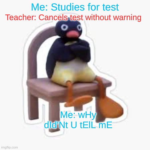Hate when this happens. | Me: Studies for test; Teacher: Cancels test without warning; Me: wHy dId'Nt U tElL mE | image tagged in mad mr penguin | made w/ Imgflip meme maker