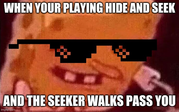 hehe | WHEN YOUR PLAYING HIDE AND SEEK; AND THE SEEKER WALKS PASS YOU | made w/ Imgflip meme maker