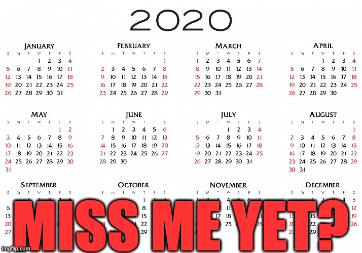 2020 was so good to us | MISS ME YET? | image tagged in 2020 miss me yet,2020,miss,me,yet | made w/ Imgflip meme maker