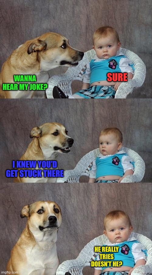Dad Joke Dog Meme | WANNA HEAR MY JOKE? SURE I KNEW YOU’D GET STUCK THERE HE REALLY TRIES DOESN’T HE? | image tagged in memes,dad joke dog | made w/ Imgflip meme maker