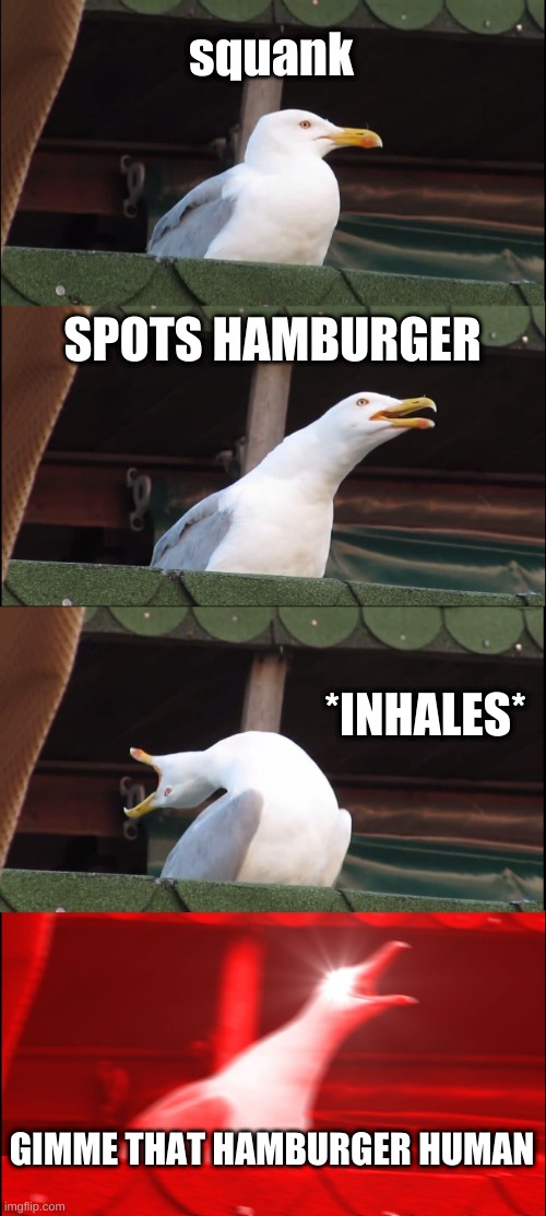 Inhaling Seagull Meme | squank; SPOTS HAMBURGER; *INHALES*; GIMME THAT HAMBURGER HUMAN | image tagged in memes,inhaling seagull | made w/ Imgflip meme maker