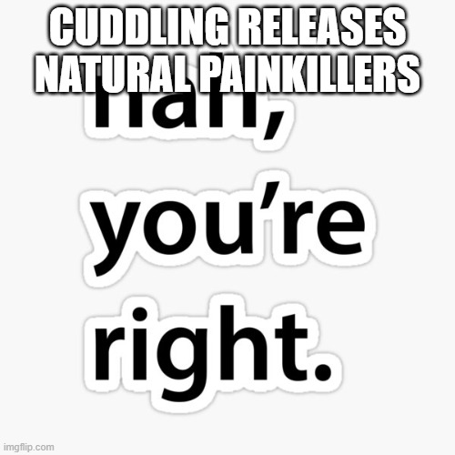 Nah you're right | CUDDLING RELEASES NATURAL PAINKILLERS | image tagged in nah you're right | made w/ Imgflip meme maker