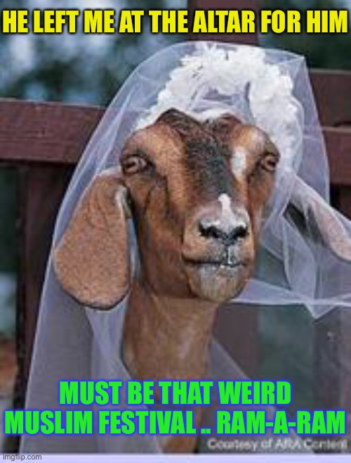 muslim goat | HE LEFT ME AT THE ALTAR FOR HIM MUST BE THAT WEIRD MUSLIM FESTIVAL .. RAM-A-RAM | image tagged in muslim goat | made w/ Imgflip meme maker