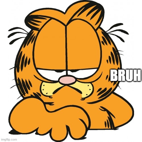 Garfield | BRUH | image tagged in garfield | made w/ Imgflip meme maker