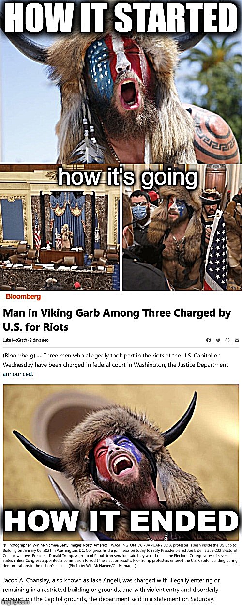 The Saga of Viking Man, a True Patriot, in Three Parts | image tagged in the saga of viking man | made w/ Imgflip meme maker