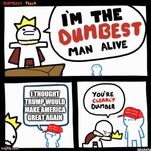 I'm the dumbest man alive | I THOUGHT TRUMP WOULD MAKE AMERICA GREAT AGAIN | image tagged in i'm the dumbest man alive | made w/ Imgflip meme maker