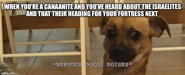 Nervous doggo noises | WHEN YOU’RE A CANAANITE AND YOU’VE HEARD ABOUT THE ISRAELITES
AND THAT THEIR HEADING FOR YOUR FORTRESS NEXT | image tagged in nervous doggo noises | made w/ Imgflip meme maker